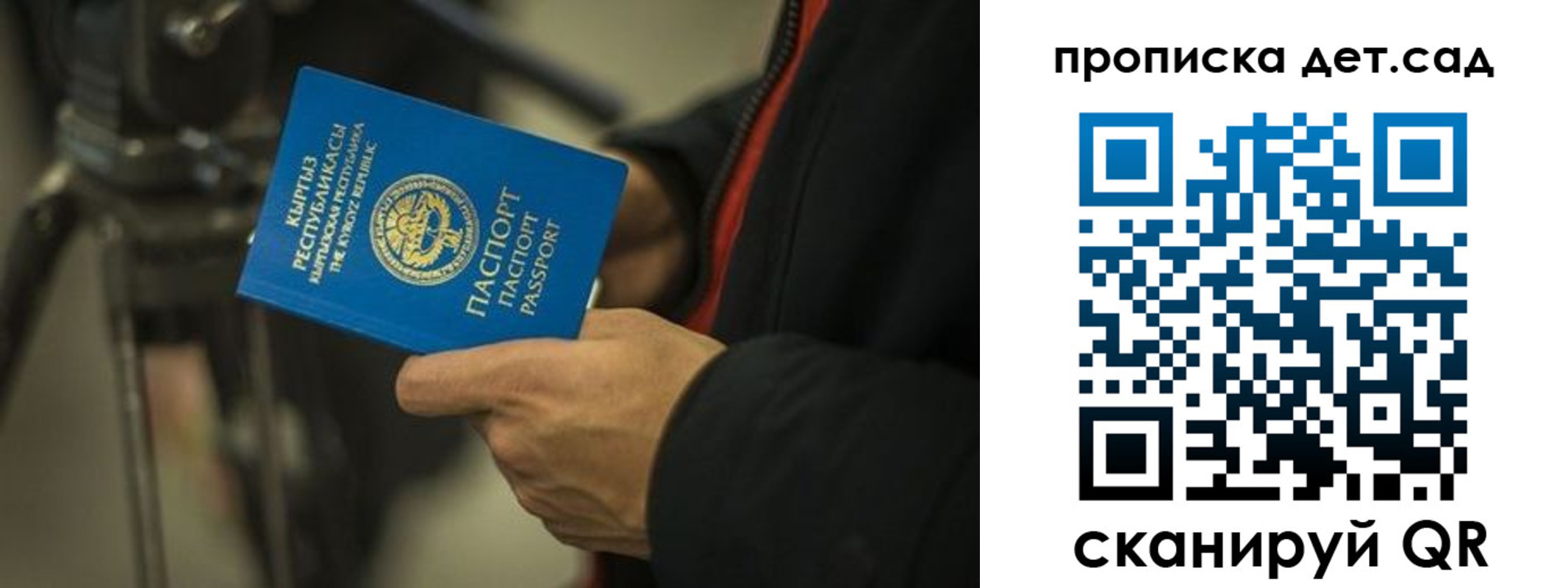 прописка поиск в Барыше